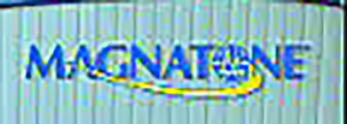 Magnatone (مگناتون)